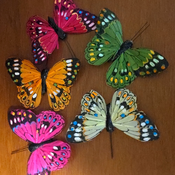 Paper Mache Magnetic Butterflies - Picture 1 of 9